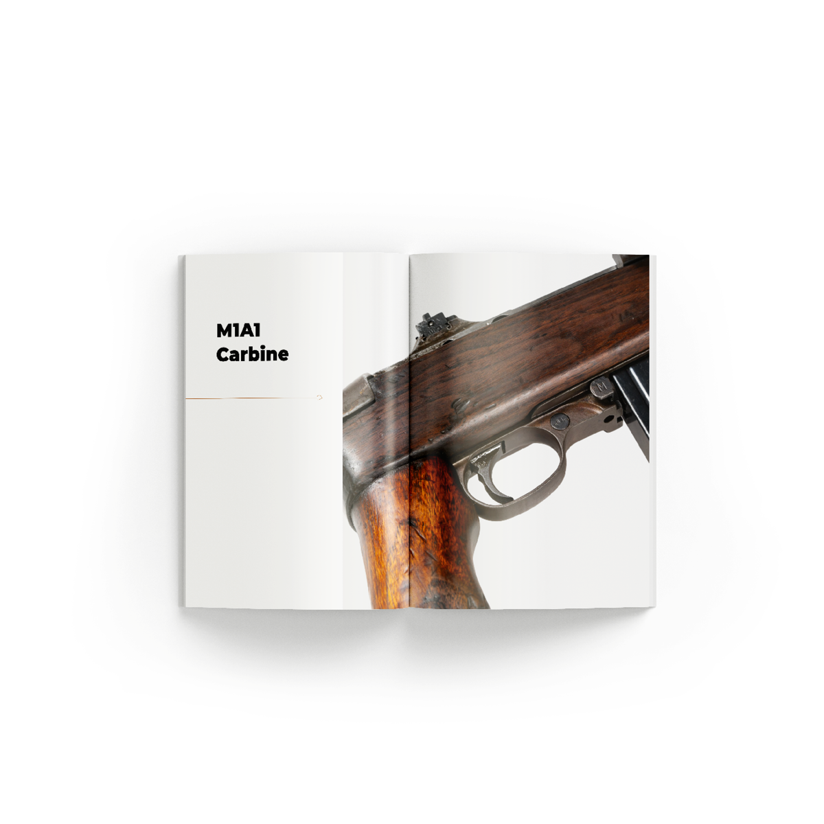 PRE-ORDERS Easy Company in Normandy - Image 2